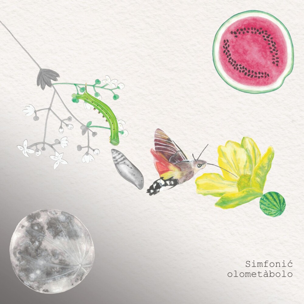 Simfonić – olometàbolo